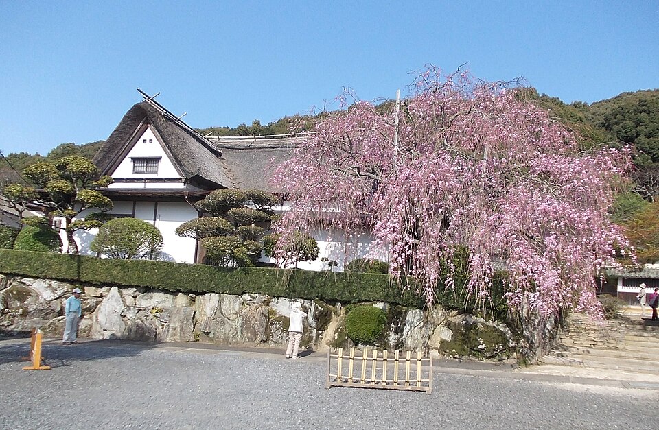 有田の案内イメージ